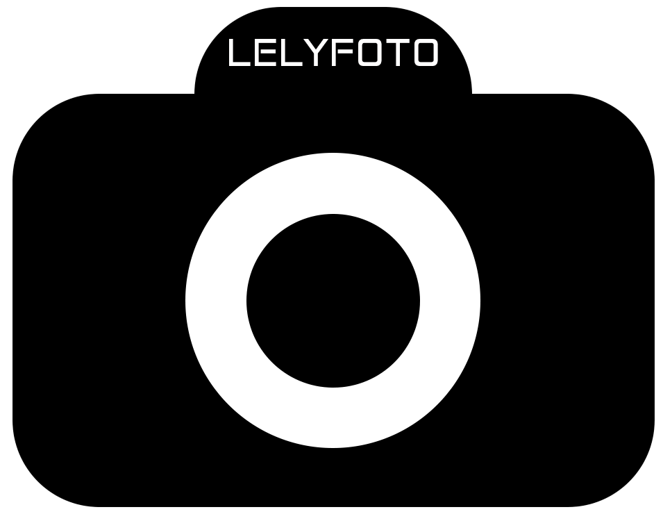 Lelyfoto caravan photobooth