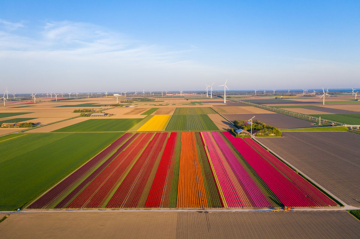 Dronten_trouwen