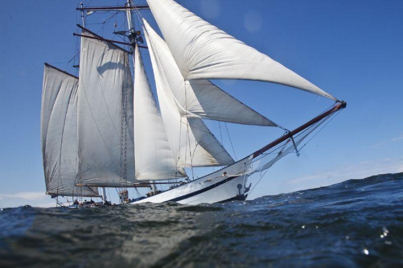 1_frisian_sailing_company_bruiloft-op-een-boot