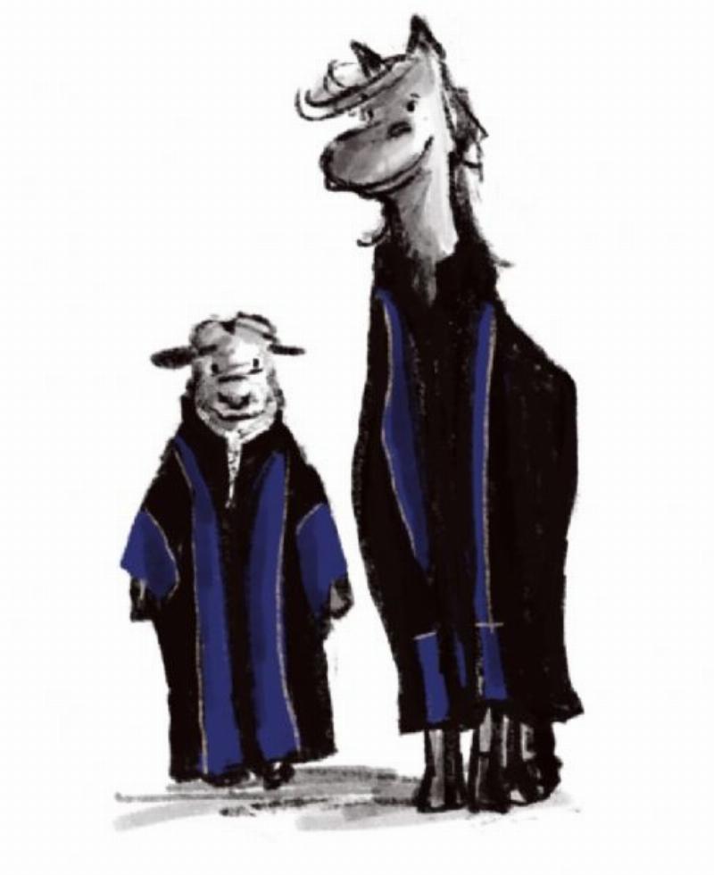 2_paard_en_schaap