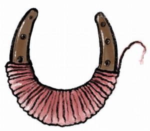 6_paard_en_schaap_ceremonie
