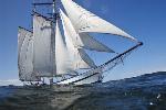 1_frisian_sailing_company_bruiloft-op-een-boot