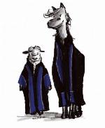 2_paard_en_schaap